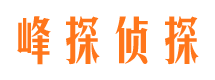 宁晋婚外情调查